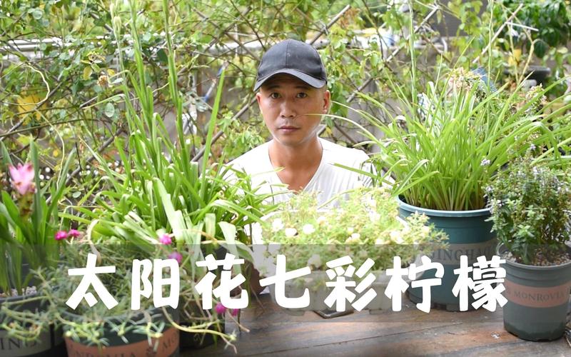 水果批发市场市场新动态