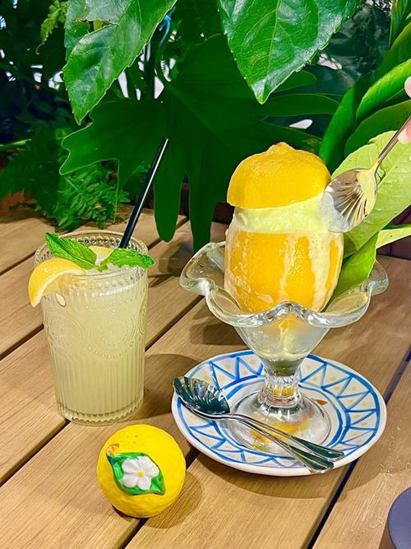 餐饮柠檬